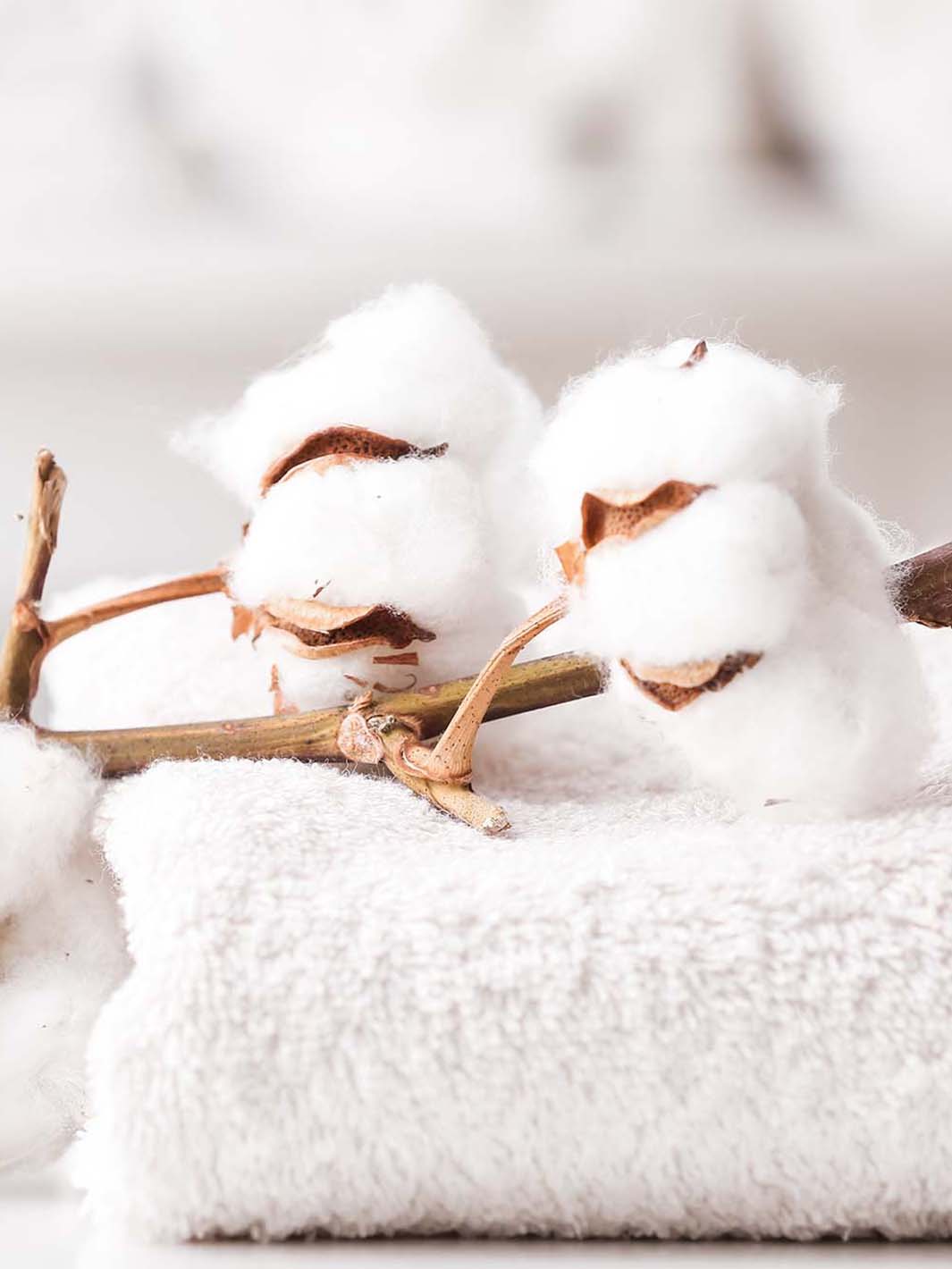 cotton towel with cotton plant sitting on top