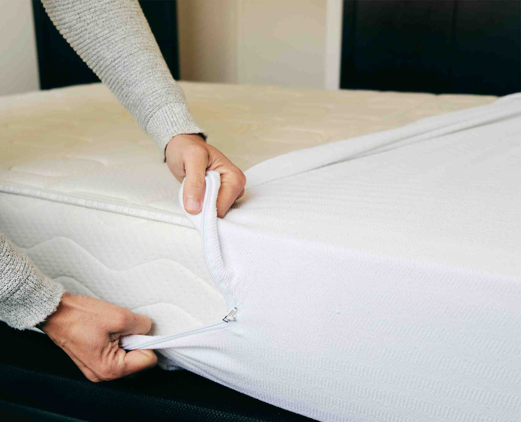 Get Rid Of Bed Bugs