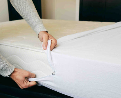 covering the mattress of bed bug protector mattress encasement